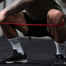 Load image into Gallery viewer, TWL - 12" Short Resistance Power Bands (2PK)
